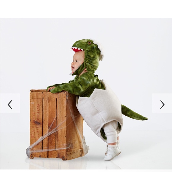 Pottery barn baby dinosaur costume 18 to 24 months - Picture 3 of 7